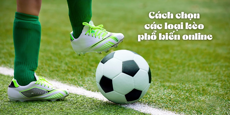 Cách chọn các loại kèo phổ biến online